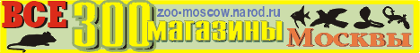  официальный баннер сайта "Все зоомагазины Москвы" 